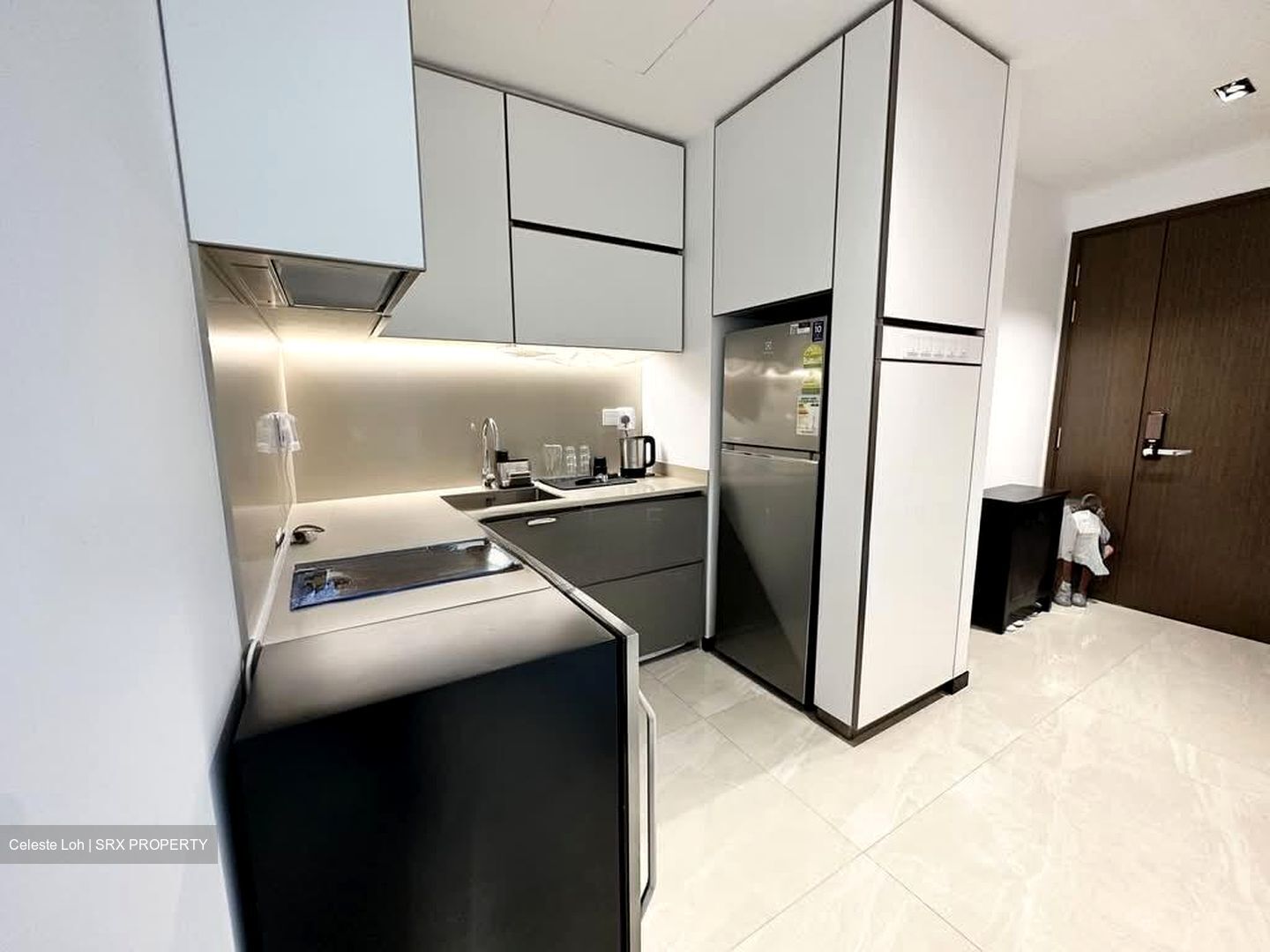 Normanton Park (D5), Apartment #566709571